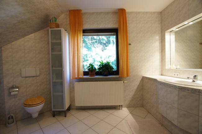 Waschtisch Haus Dresden / Pillnitz