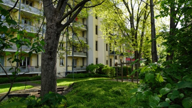 Gemeinschaftsgarten Dachgeschosswohnung Dresden