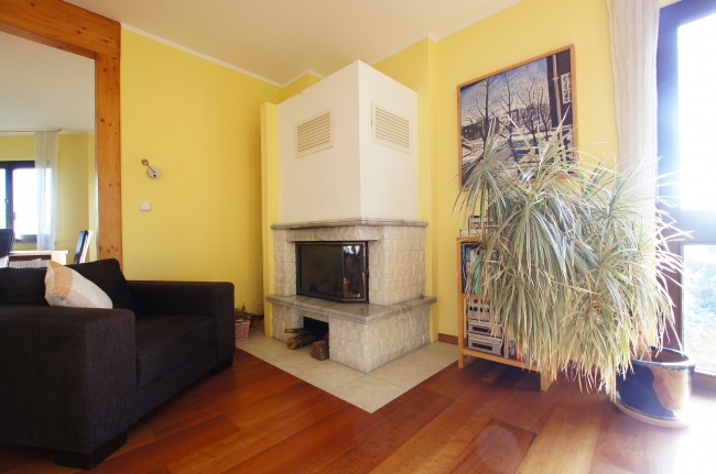 Kamin im Wohnzimmer Haus Dresden / Pillnitz