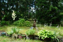 Garten Idyllisches Grundst�ck mit zwei Bungalows und gro�em Schuppen! Erholung pur! Ideal f�r Familien!