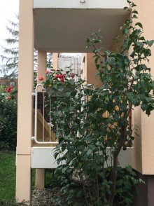 Balkon Sch�n geschnittene 2 Zimmer mit Balkon! Gut vermietet! 4,5 % Rendite!