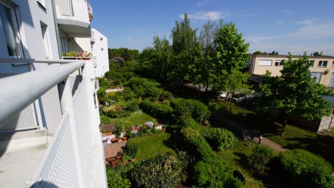 Ausblick Wohnung Dresden
