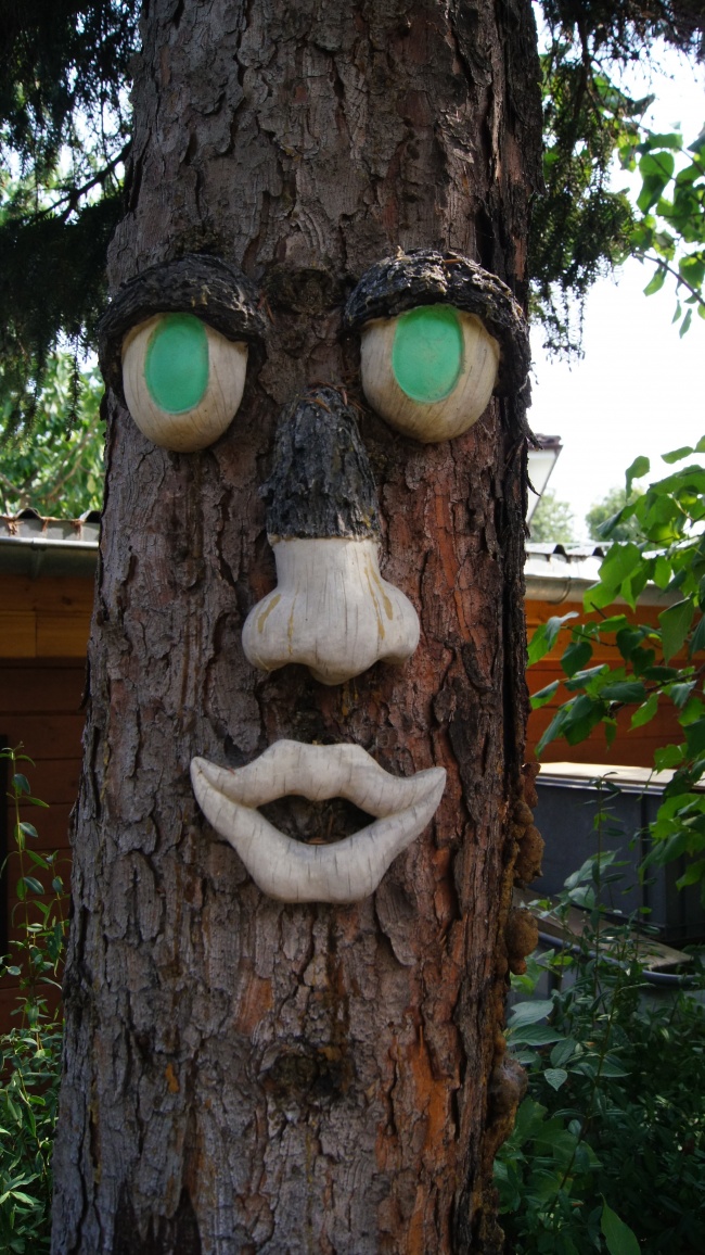 Garten Einfamilienhaus Dresden / Strehlen